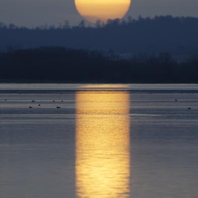 Paysage : Exclamation